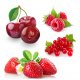 BAUDRY Confiture 4 fruits rouges Pot 250g