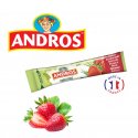 ANDROS Stick Fraise