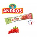 DLUO 06/24 - ANDROS Stick Groseille 20 pcs